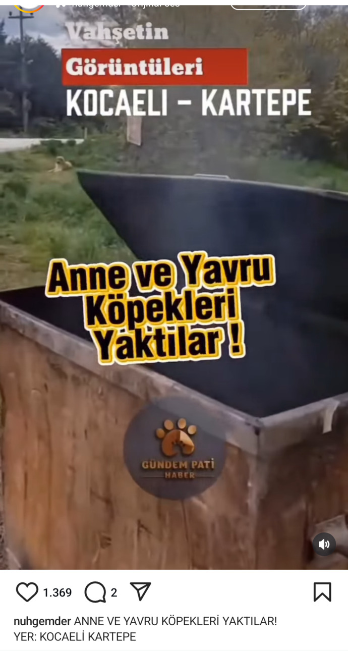 Hayvanlara yapılan zulüm bitmiyor yapan ve destekleyenlerin aramızda dolaşması ne kadar güvenilir?