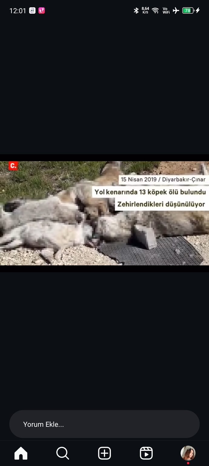 Hayvanlara yapılan zulüm bitmiyor yapan ve destekleyenlerin aramızda dolaşması ne kadar güvenilir?