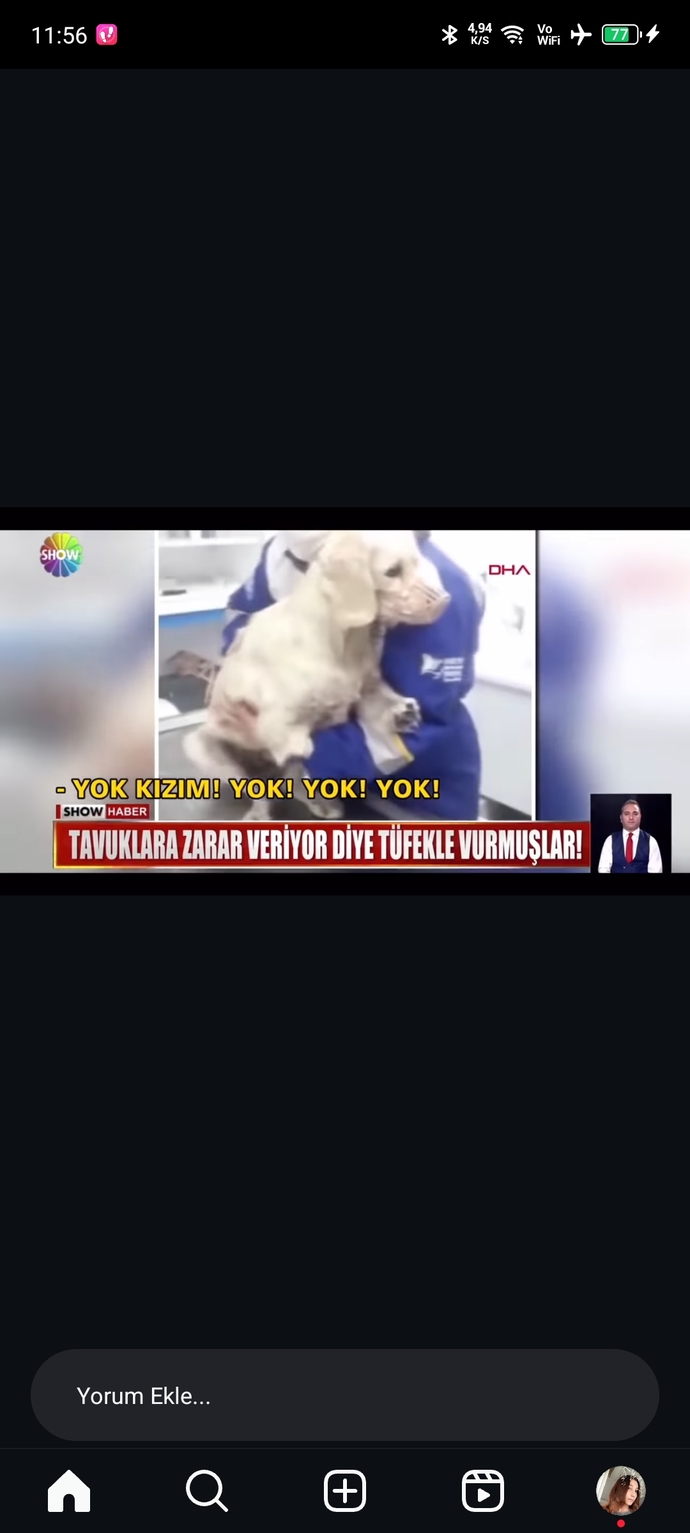 Hayvanlara yapılan zulüm bitmiyor yapan ve destekleyenlerin aramızda dolaşması ne kadar güvenilir?