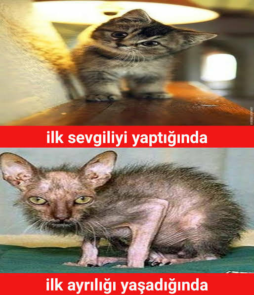 İlk sevgilinizi düşündüğümüzde aklınıza ne geliyor?