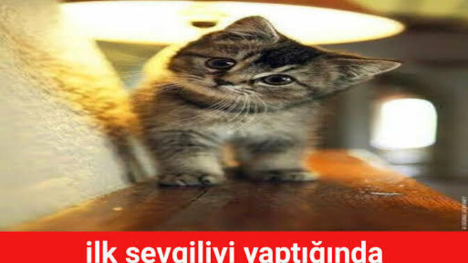 İlk sevgilinizi düşündüğümüzde aklınıza ne geliyor?