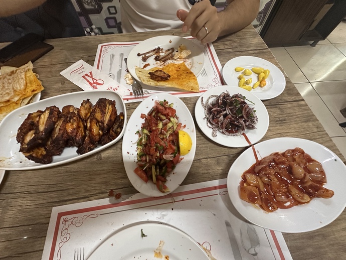 Ne olacak bu kanat sevgim?