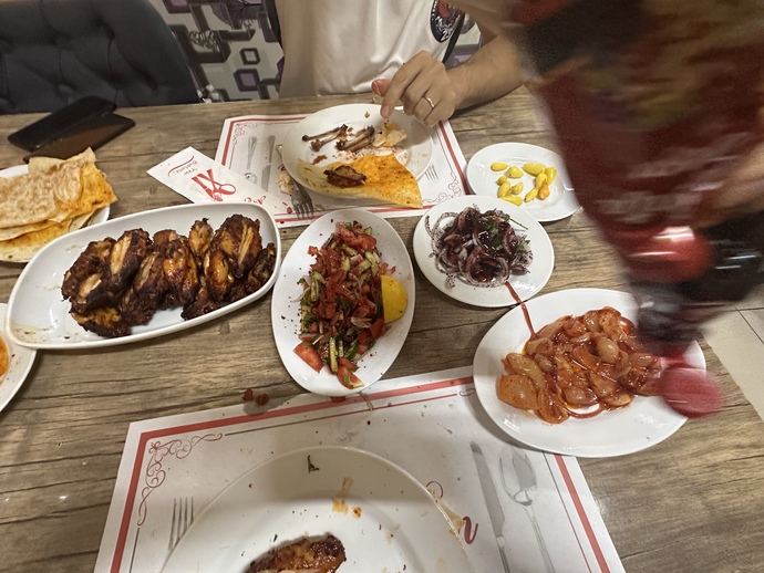 Ne olacak bu kanat sevgim?