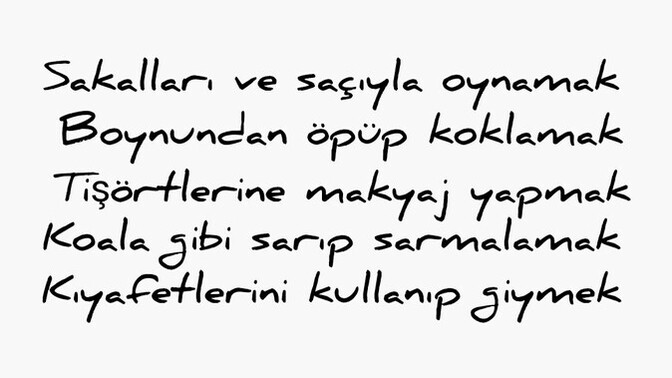 Sevgi diliniz nedir?
