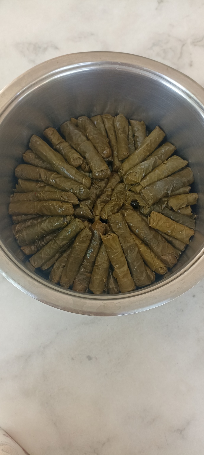 Sarmalarim nasıl görünüyor?