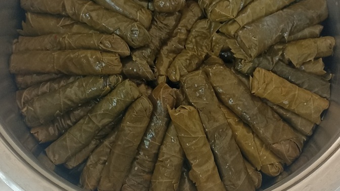 Sarmalarim nasıl görünüyor?