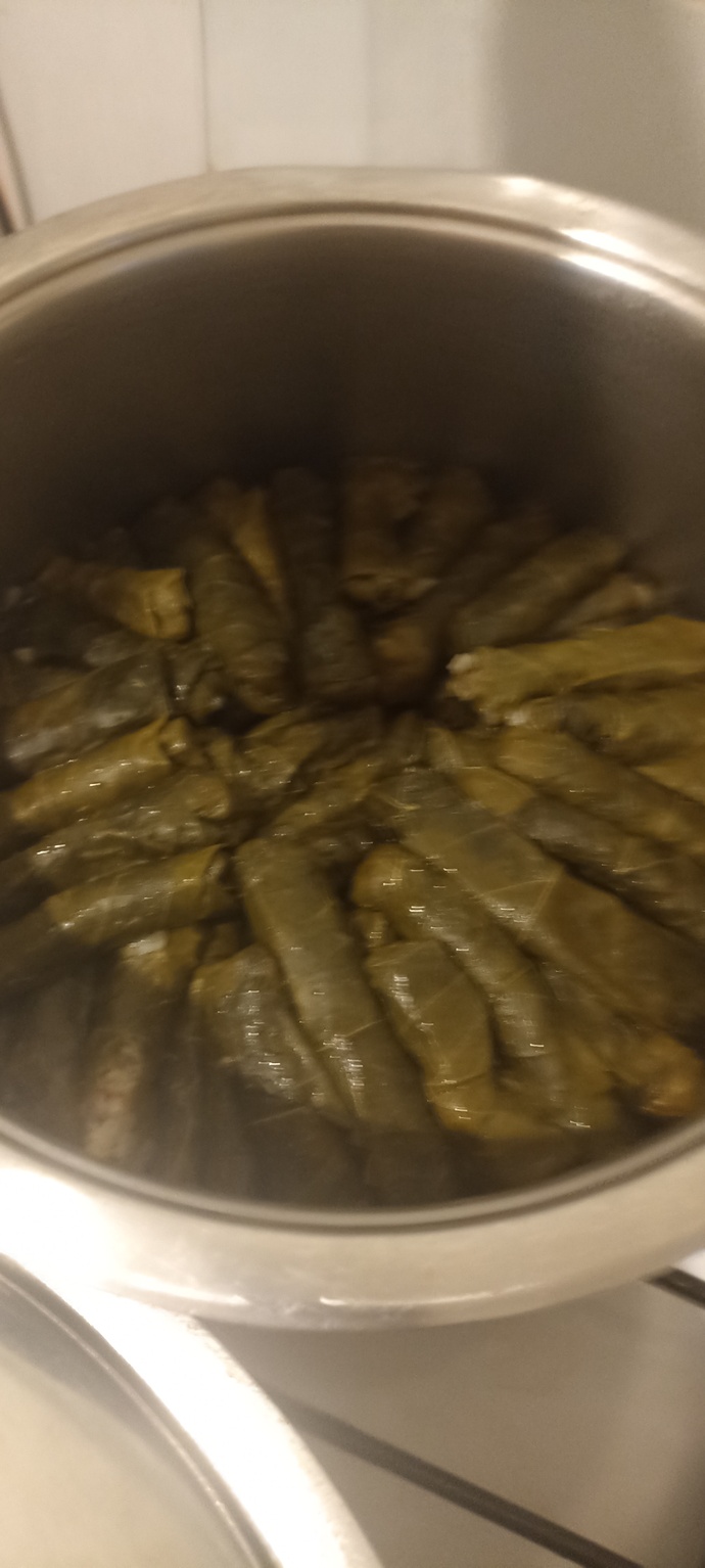 Akşam yemeğimde yaptıklarım nasıl görünüyor?