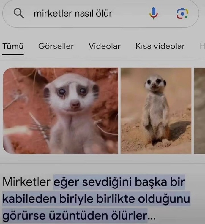 Eski sevgilinizi başkasıyla mutlu görünce ne hissedersiniz?