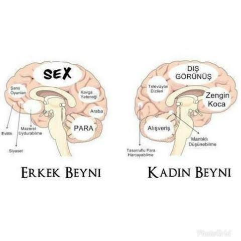 Güzel kadının kalbinde nankörlük varsa aşk diye bir şey yoktur öyle mi?