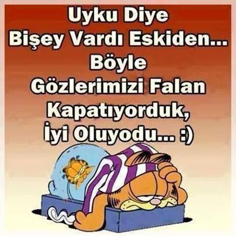 Sjjdjxbxuxbxhxbhxhxxbxhxb