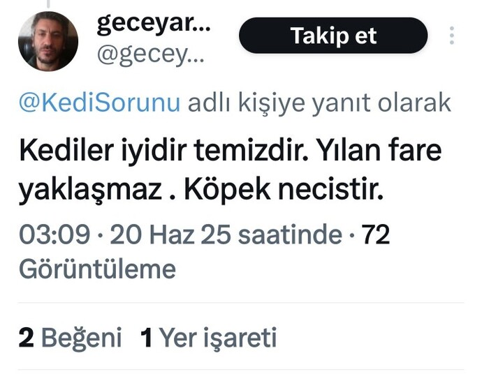 Neye tahammül edemiyorsun?