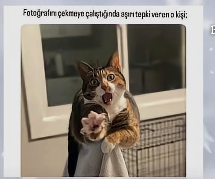 Sosyal medya için fotoğraf çekilirken nelere dikkat edersiniz?