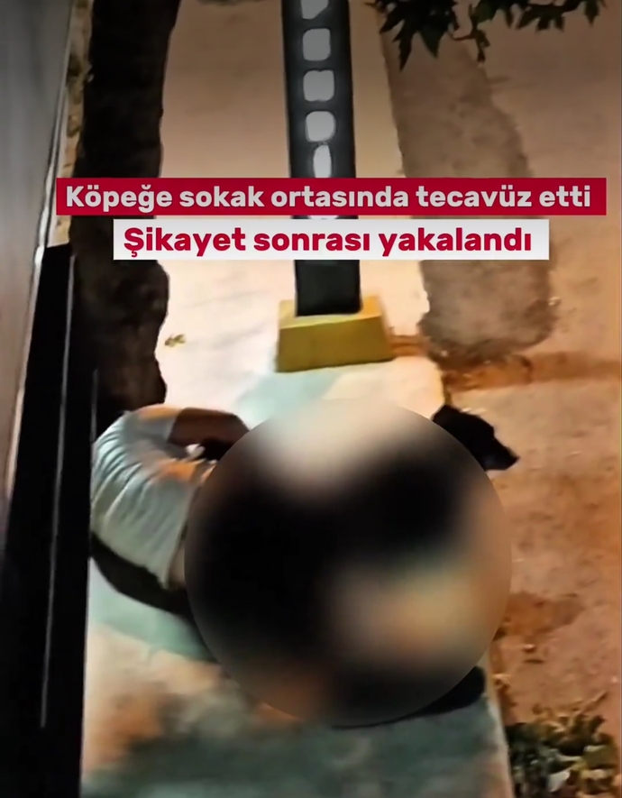 Ülke olarak midem kaldırmıyor peki sizin?