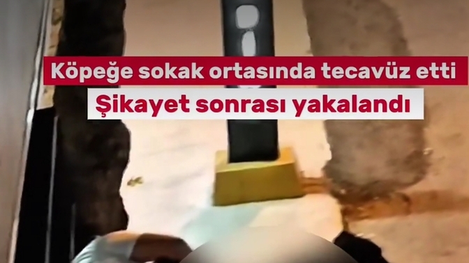 Ülke olarak midem kaldırmıyor peki sizin?