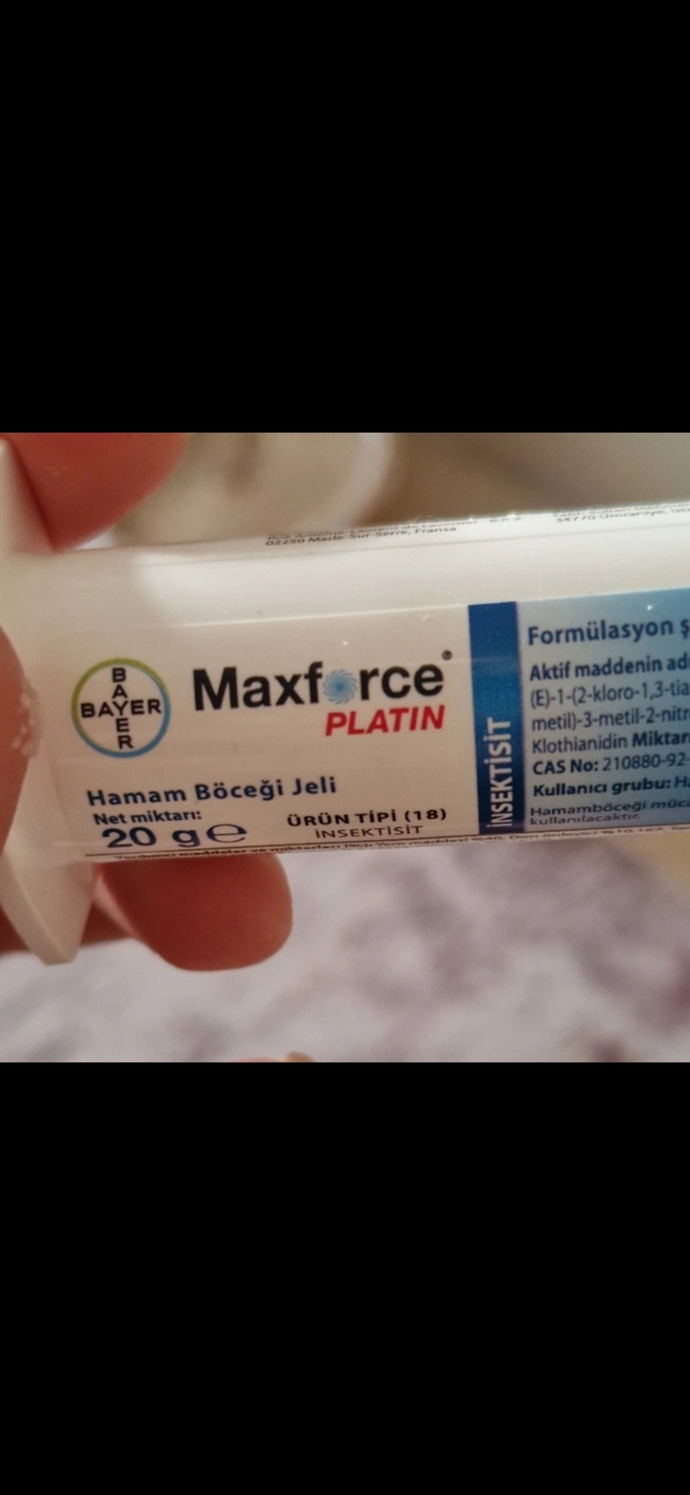 Hamam bocegi nasil ilaclanir?
