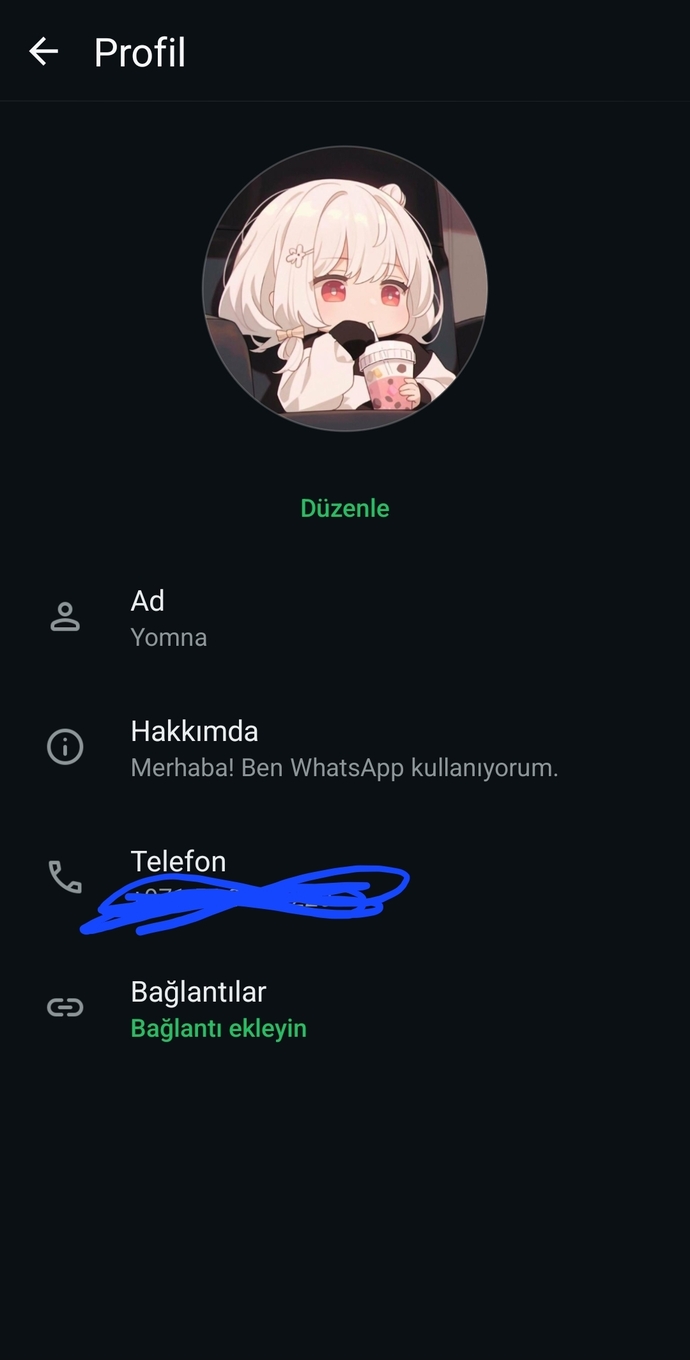 Wp hakkında ne yazıyor?