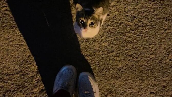 Gece geç vakitlerde dışarı çıkar mısınız?
