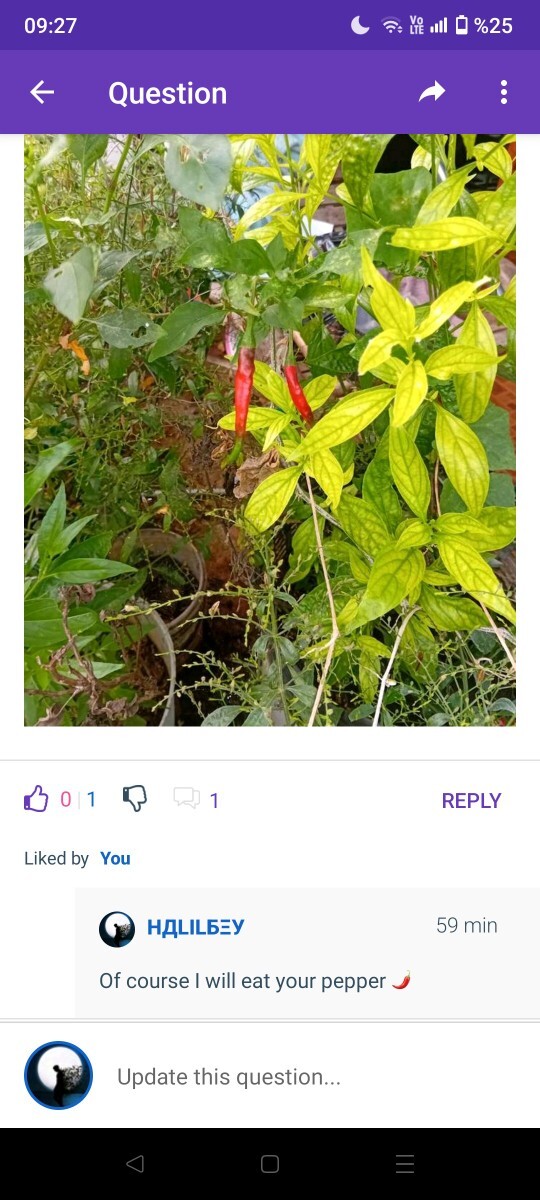 Sabah sabah ne yediniz?