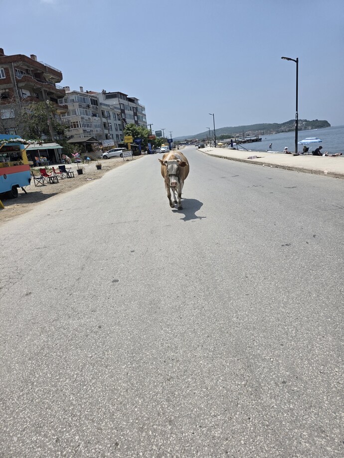 Poz ver 📸 kimin aşkısı bu¿