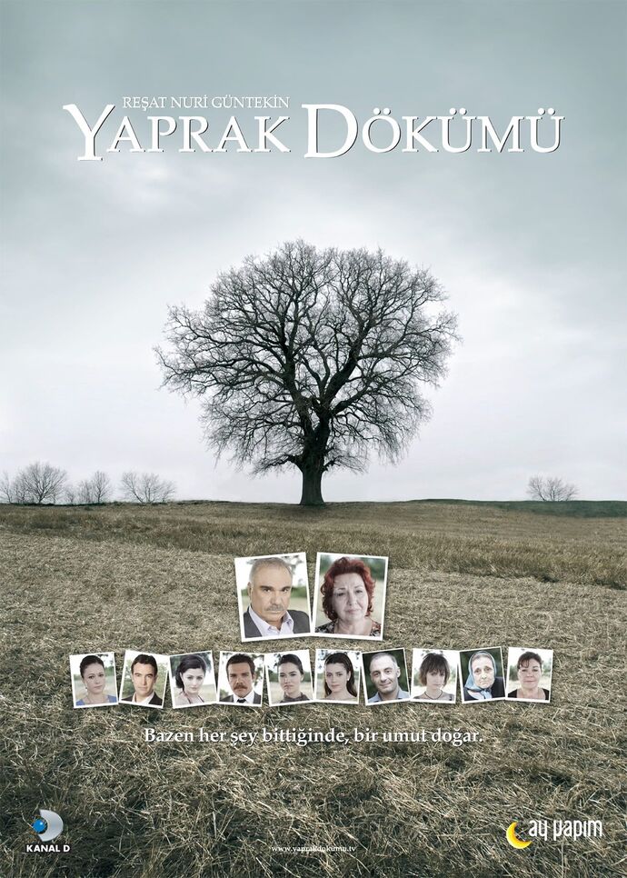 Yaprak Dökümü mü Aşkı Memnu mu?
