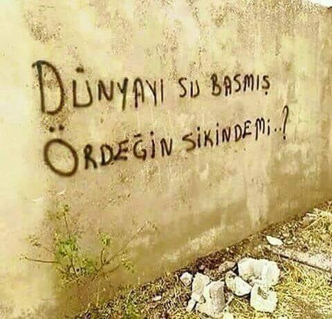 Bir duvar yazısı yazacak olsanız ne yazarsınız?