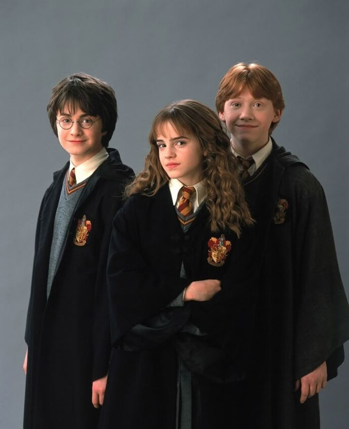Harry Potter serisini izlediniz mi?