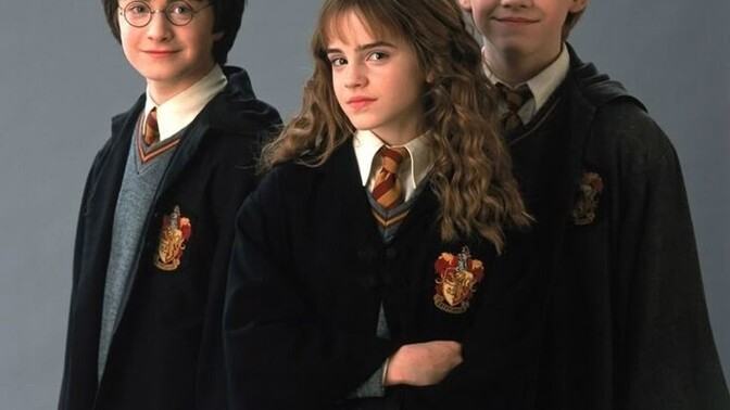 Harry Potter serisini izlediniz mi?
