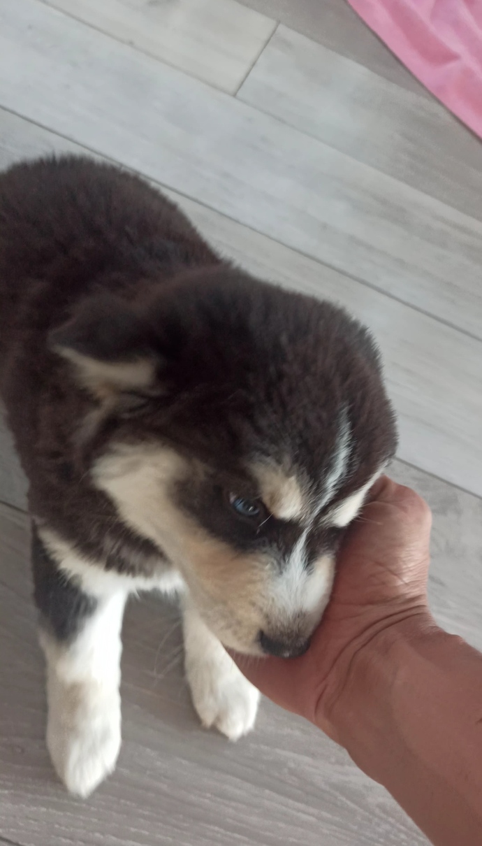 Bugün kiminle uyandın?