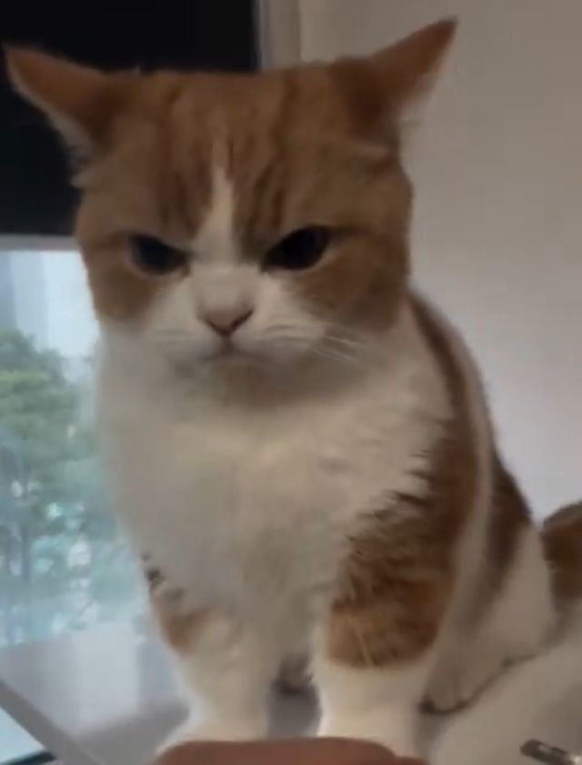 Diğer insanlar yaparken sinirlendiğiniz ama arada sizin de yaptığınız şey nedir🦋?