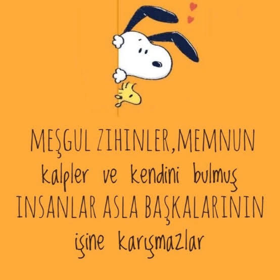En sevdiğiniz çizgi film karakterinden bir replik bırakacak olsanız, bu ne olurdu?
