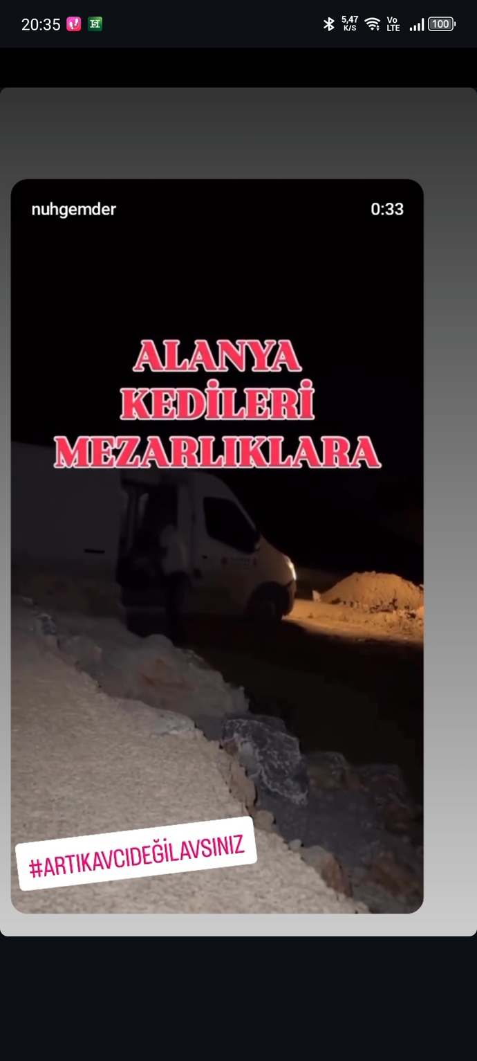 Ülke hayvan mezarlığına döndü nolacak bu hâl bunlarda hiç mi vicdan yok bu insanlar niye aramızda?