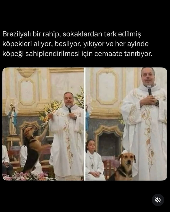 Ülke hayvan mezarlığına döndü nolacak bu hâl bunlarda hiç mi vicdan yok bu insanlar niye aramızda?