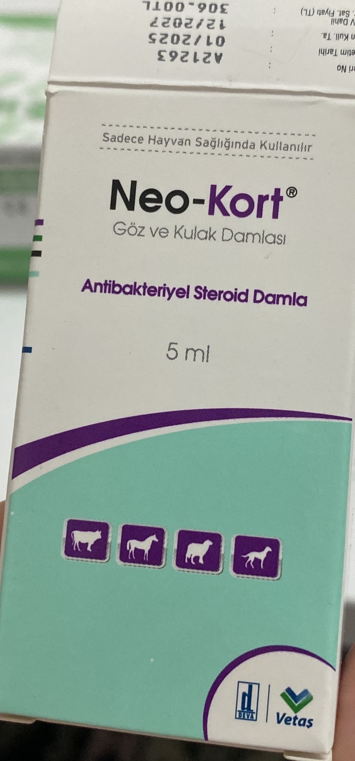 SELAM BUGÜN YOLDA Bİ BEBİŞ BULDUM. NASIL İYİLEŞTİREBİLİRİM?