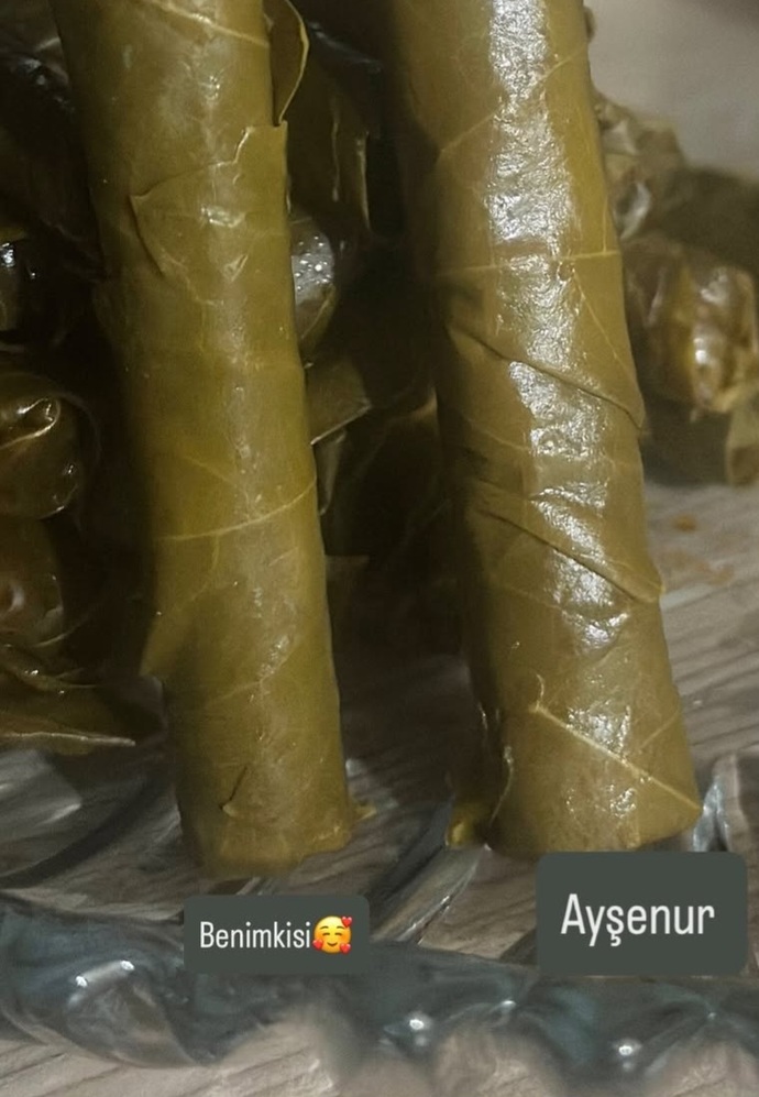Ayşenur mu daha güzel sarıyor yoksa ben mi?