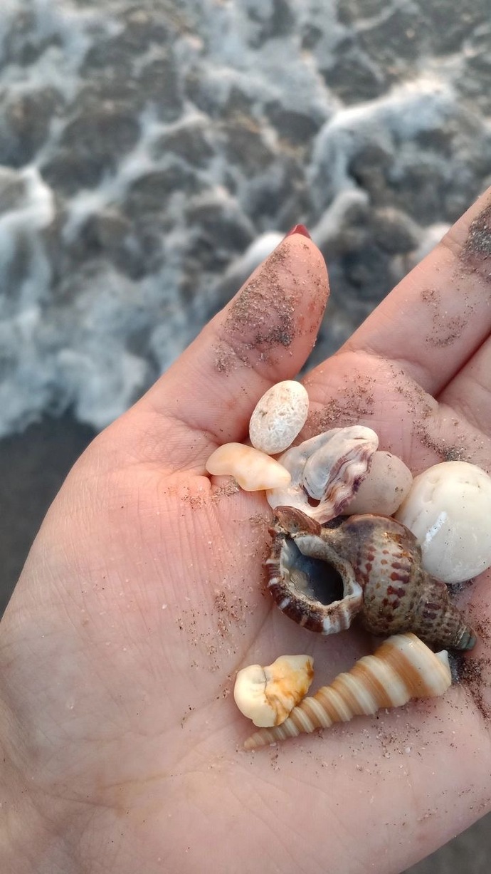 Antalya Belek’ten yola çıkılacak şekilde tekne ile nereler gezilebilir?
