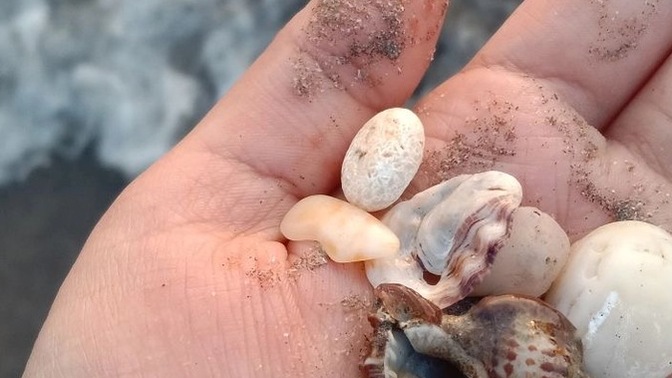 Antalya Belek’ten yola çıkılacak şekilde tekne ile nereler gezilebilir?