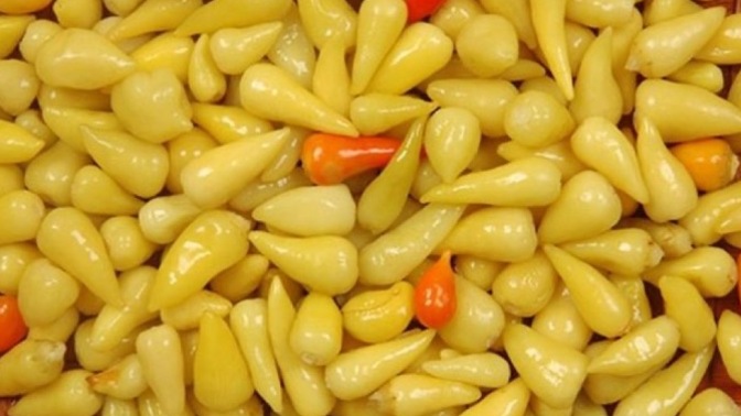 Biber turşusu sever misin 🌶️ ?