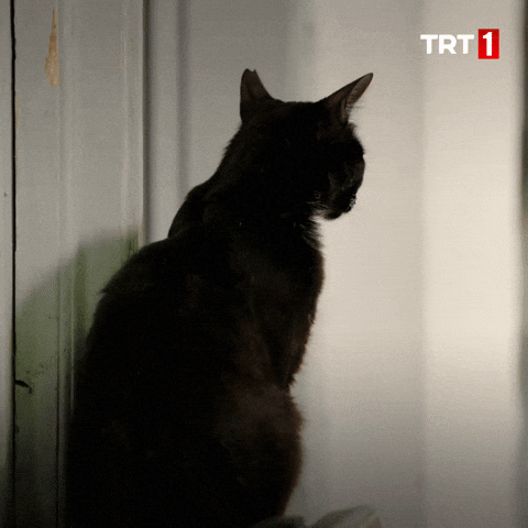 Seni baştan çıkarmak kolay mıdır?