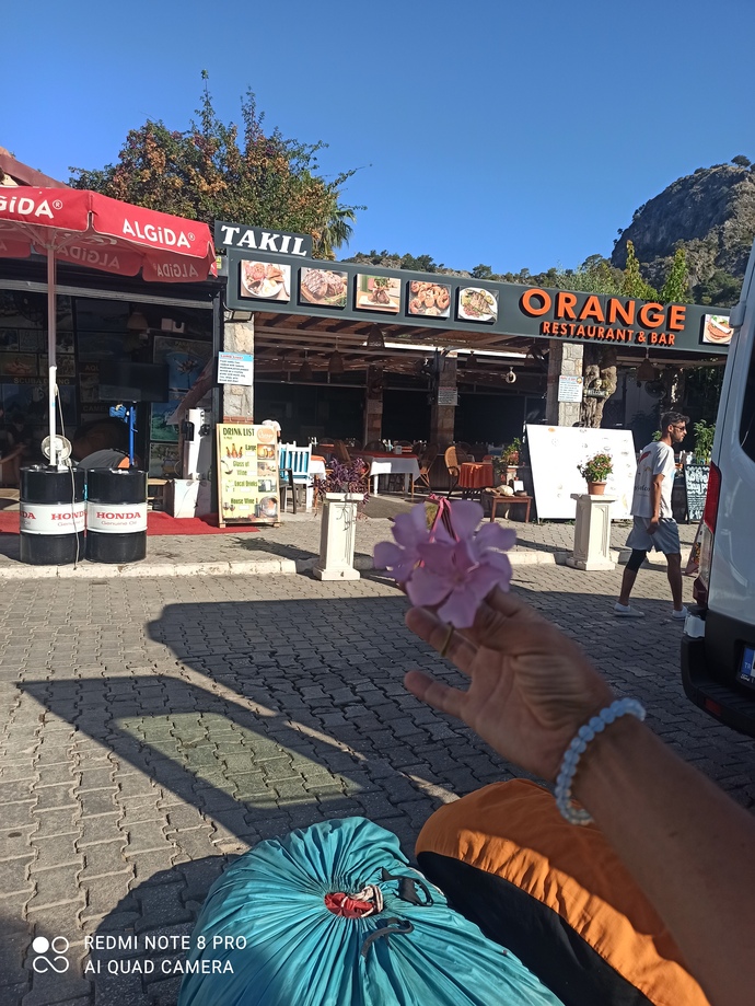 Günaydın 😄 Güneşli bir gün. Nasil hissediyorsun ?
