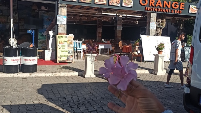 Günaydın 😄 Güneşli bir gün. Nasil hissediyorsun ?