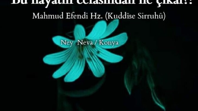 Bayılır mısınız sözlerin güzeline?