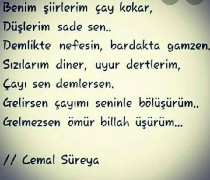 Sizi çok etkileyen şiirler veya şarkı sözlerini paylaşır mısınız?