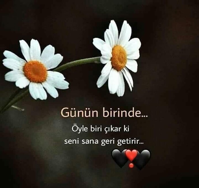 ÂŞƘ herkesin dilinde olan bu aşk Tehlikeli değil midir?