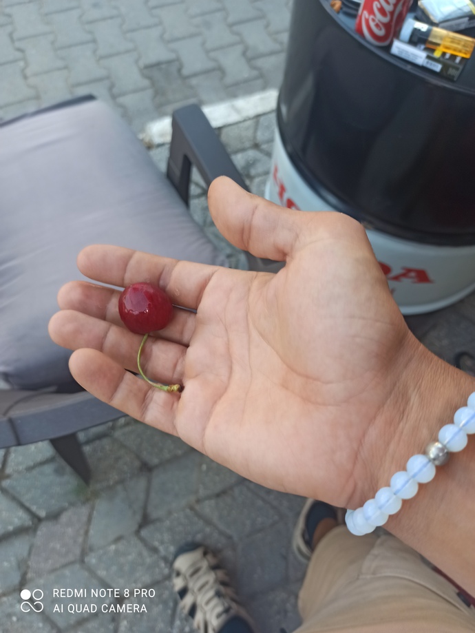 Ne yapıyorsun canım sıkılıyor?
