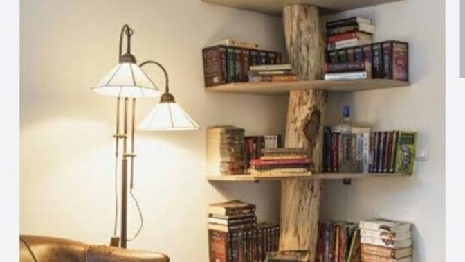 Evinize ağaç 🌲 dalından kitaplık yapsam hoşunuza gider miydi?