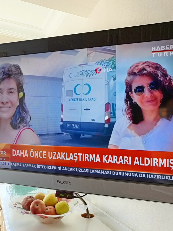 Bu kadınar niye onlarca eşi tarafından öldürülen kadın varken bck var gibi evlenmeye devam ediyor mutlu olcağınızı mı sanıyonuz?