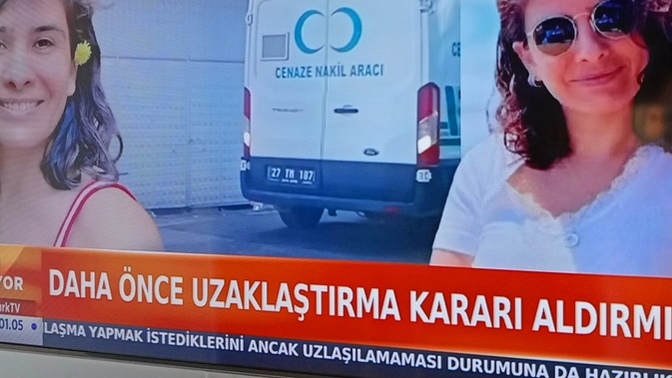 Bu kadınar niye onlarca eşi tarafından öldürülen kadın varken bck var gibi evlenmeye devam ediyor mutlu olcağınızı mı sanıyonuz?