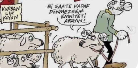 Hayatı gerçekten seviyor musunuz? olumsuzluklara karşı bakış açınız nedir?