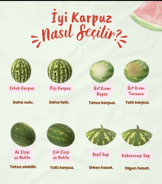 Karpuzun iyisini nasıl anlarsınız?