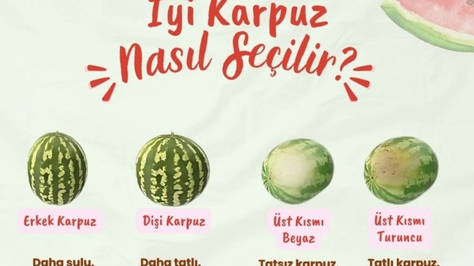 Karpuzun iyisini nasıl anlarsınız?
